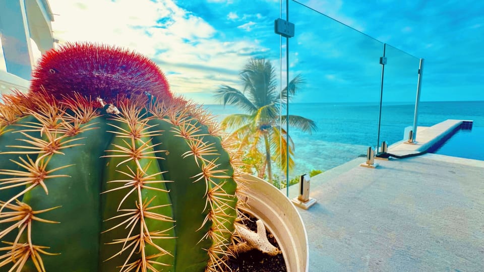 View from property