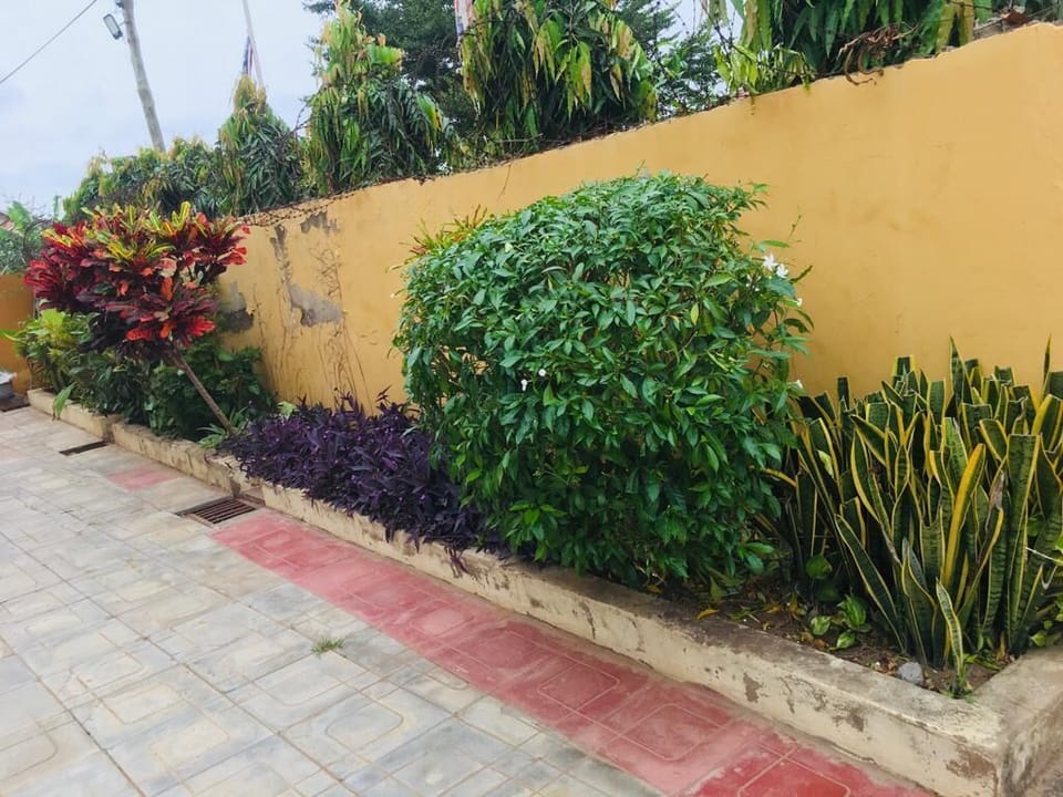 Communal Garden