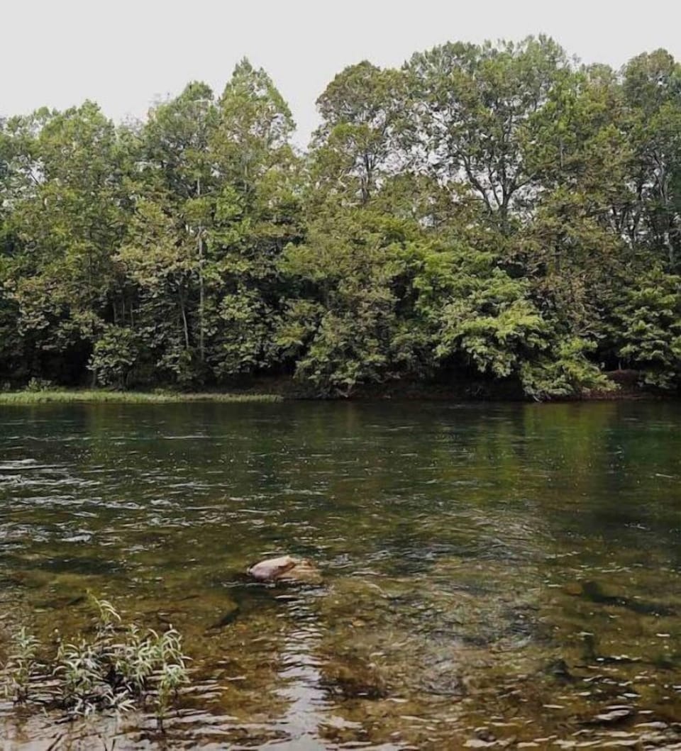 The Shenandoah river!
