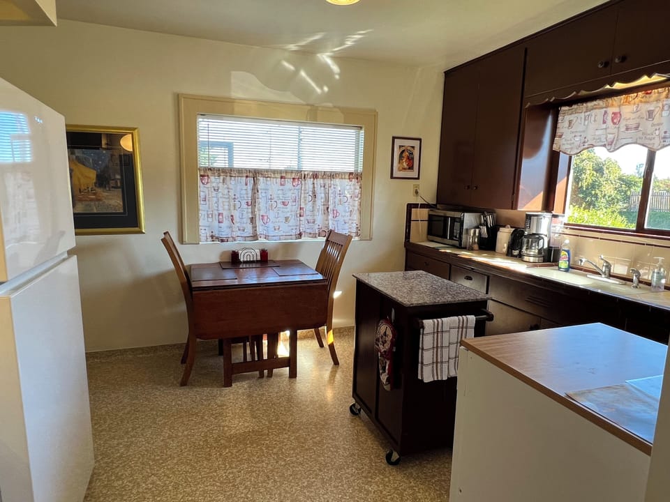 Large family-sized kitchen