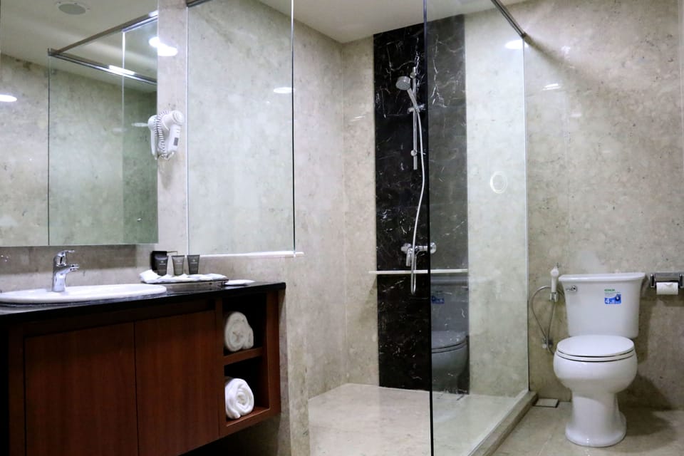 Junior Suite | Bathroom | Shower, free toiletries, hair dryer, slippers