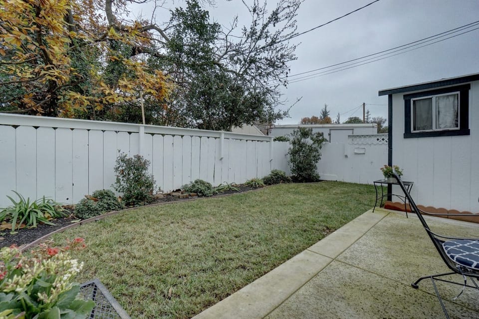 Grass area, side yard
