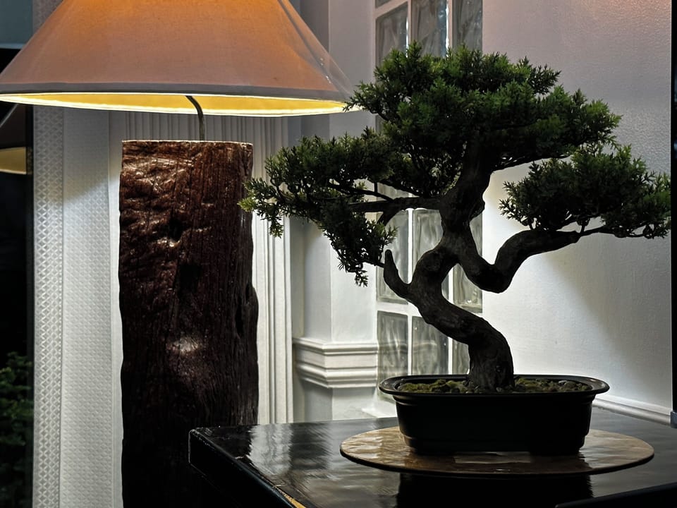 Beautiful Decor Throughout Home