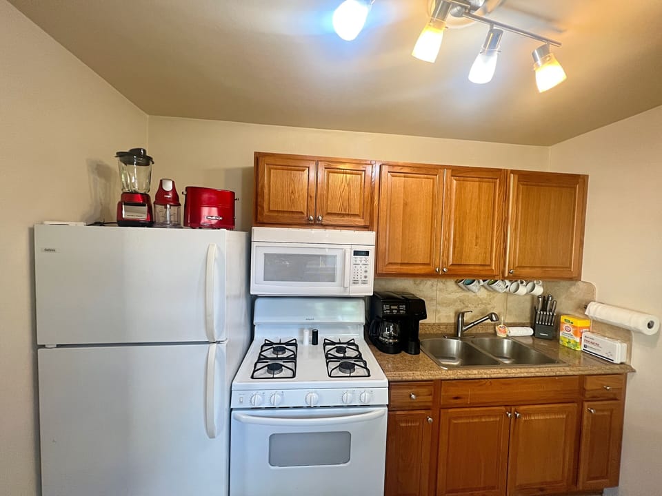 Kitchen is fully stocked with everything you'd need to make a delicious meal  