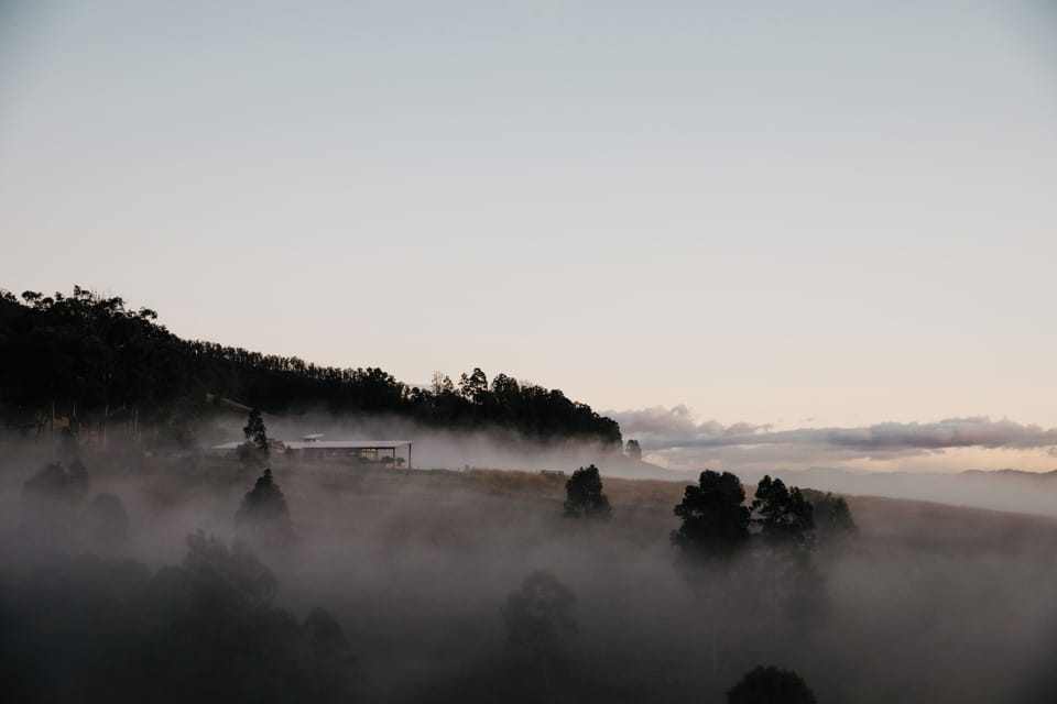 Misty Morning