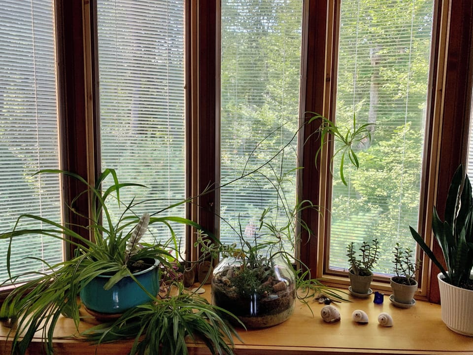 View from back loft