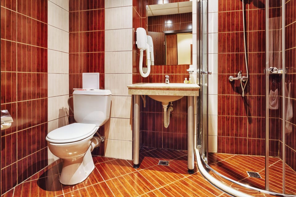 Shower, free toiletries, hair dryer, towels