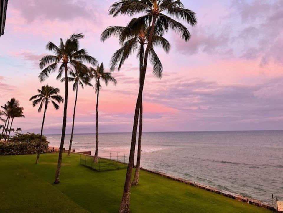 Sunset Palm Grove.
Golden light filters through swaying palms, creating the perfect backdrop for evening strolls by the shore.