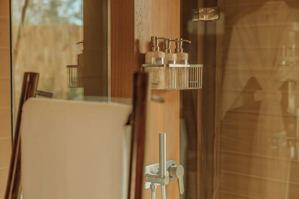 Shower, hydromassage showerhead, free toiletries, hair dryer