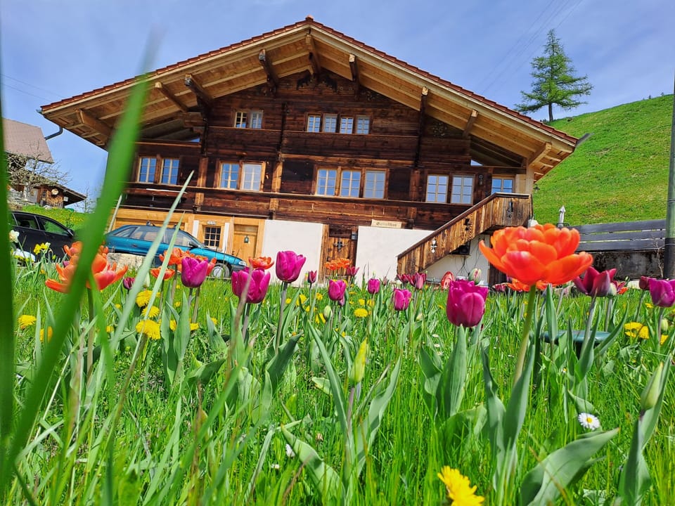 Chalet, 3 Bedrooms, Smoking, Balcony | Exterior