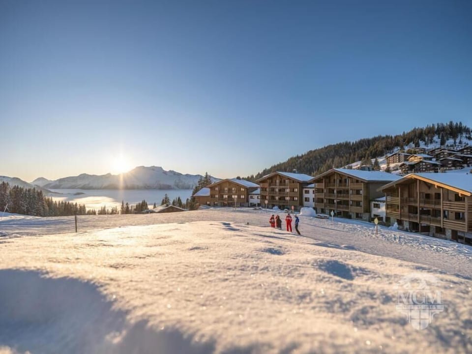 Snow and ski sports