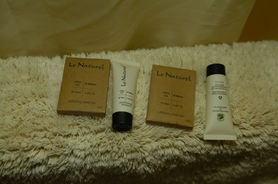 Combined shower/tub, free toiletries, hair dryer, towels