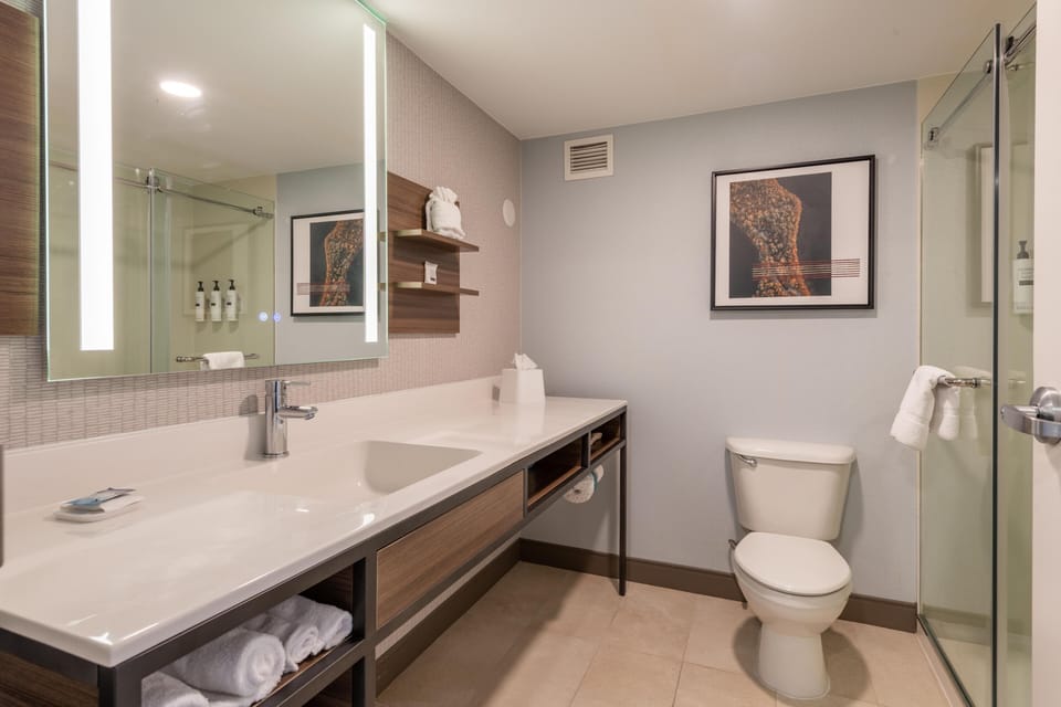 Junior Suite, 1 Queen Bed, Non Smoking | Bathroom | Combined shower/tub, designer toiletries, hair dryer, towels