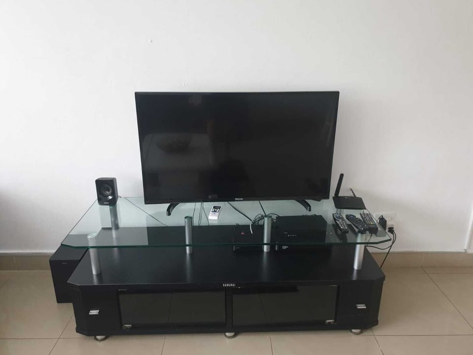 Television