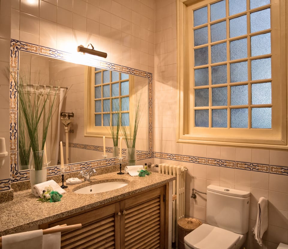 Double or Twin Room | Bathroom | Hair dryer, towels