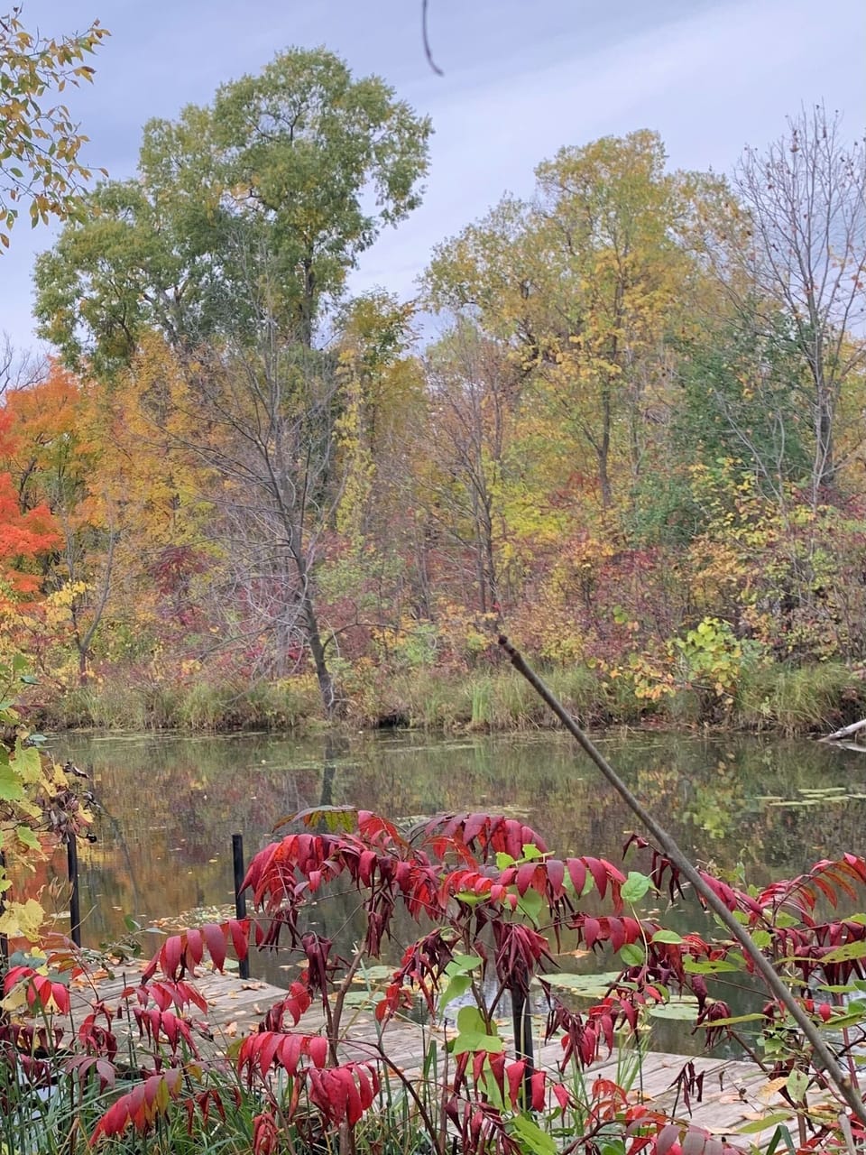 Channel in the fall