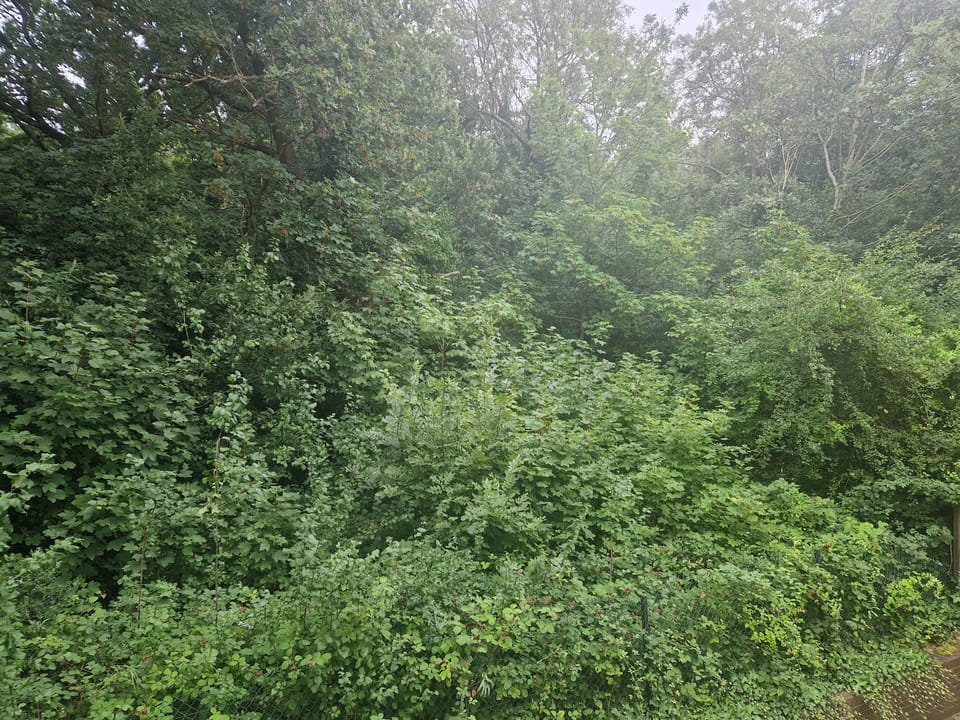 Image 17