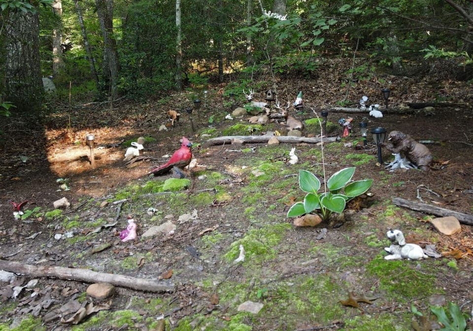 Pet Friendly, Creekfront Cabin Rental in Blue Ridge GA with Hot Tub