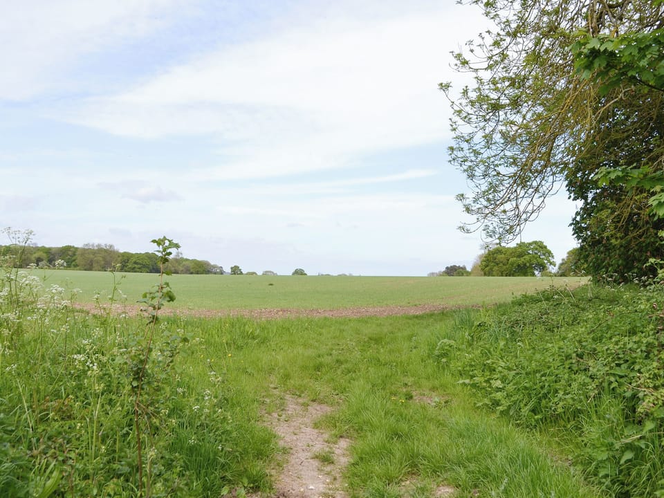 Beautiful surrounding countryside | The Stables, The Dairy - Beauworth Cottages, Beauworth, near Alresford