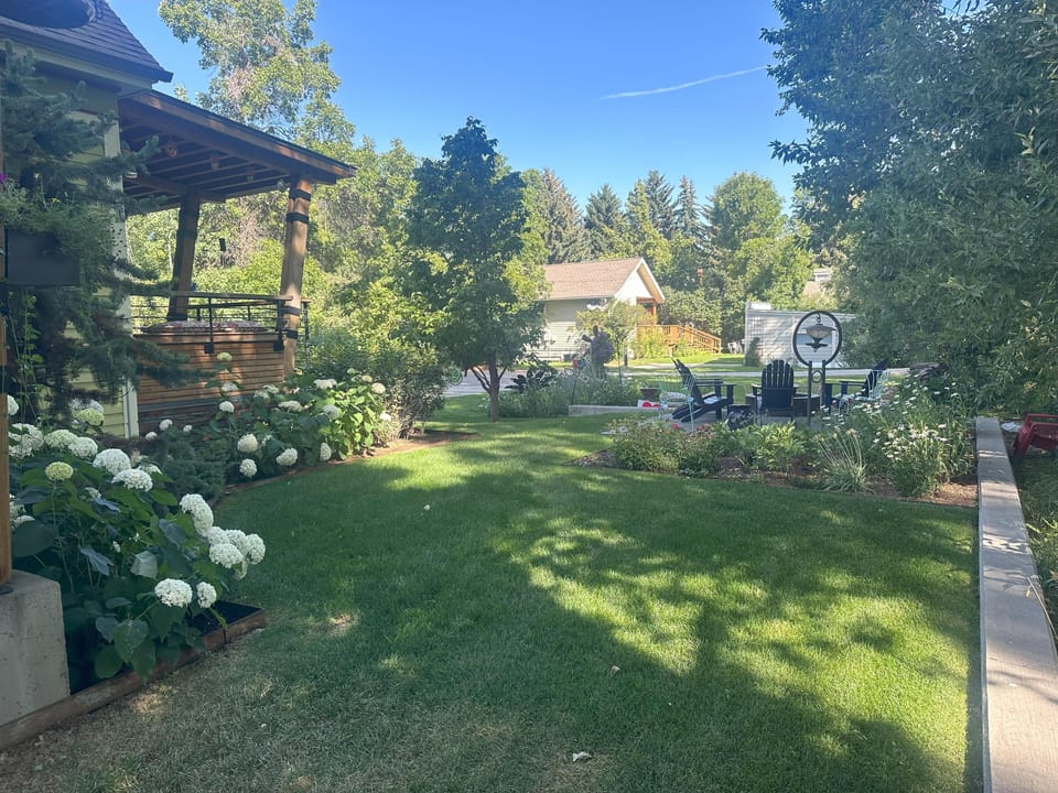 side yard from deck