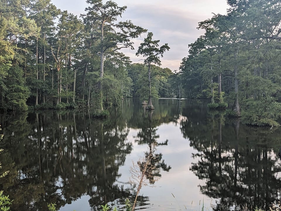 View from the center of Mill Pond, 3-minute walk.