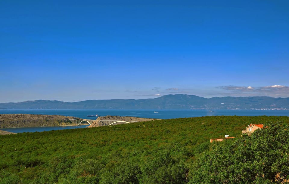 view-from-room