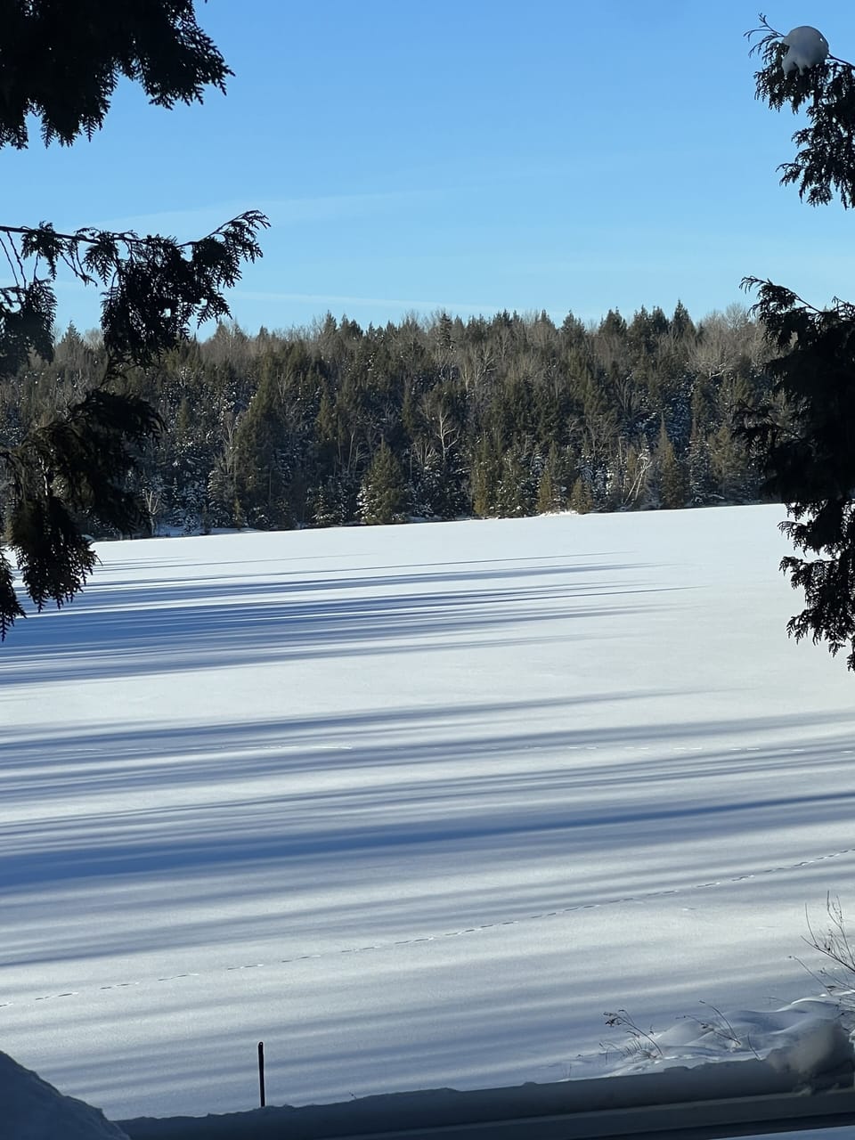 View from property