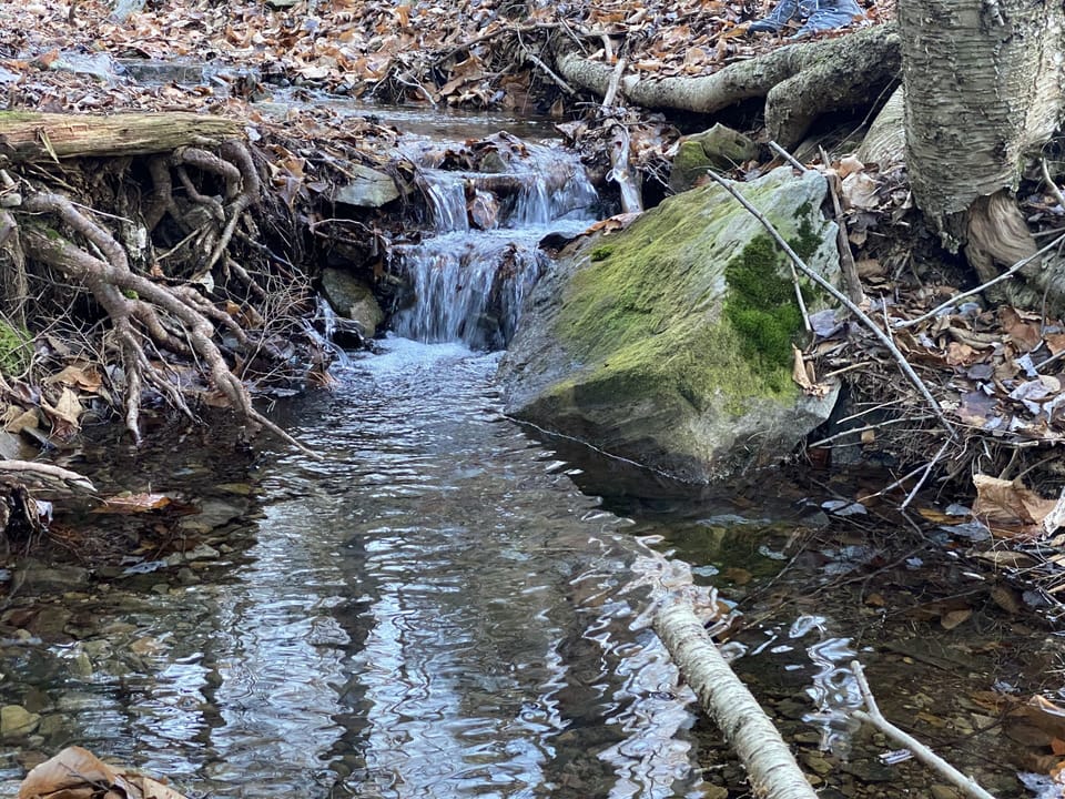 A small stream that runs through the back of the property.