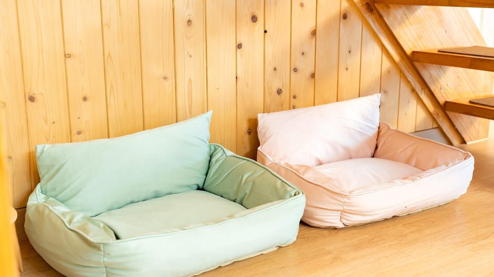 Basic Room, 2 Bedrooms (dokchae) | 2 bedrooms, free WiFi