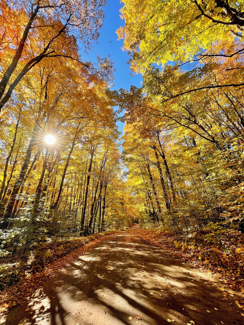 Dirt Road to the Cabin