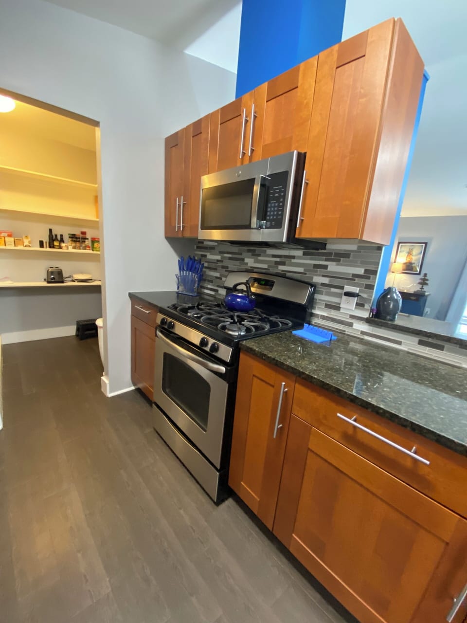 Kitchen and walking pantry