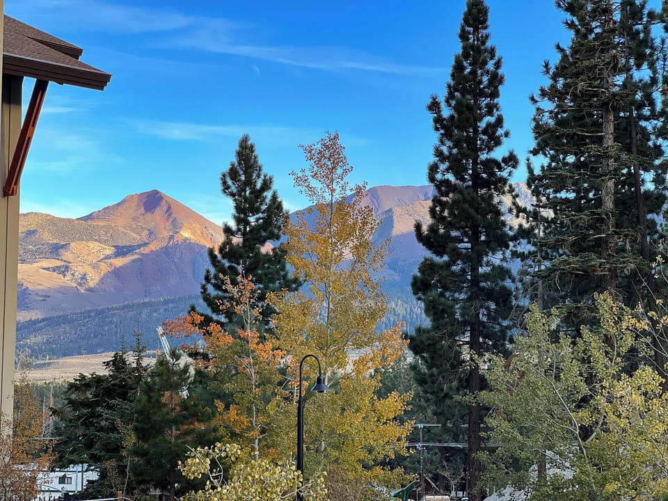 View from property