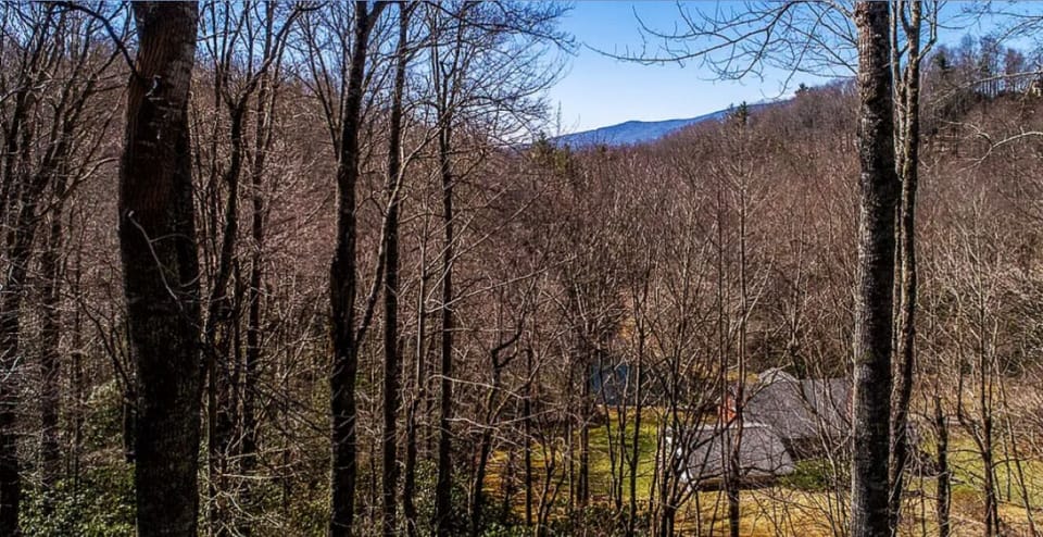 Back deck view in winter
