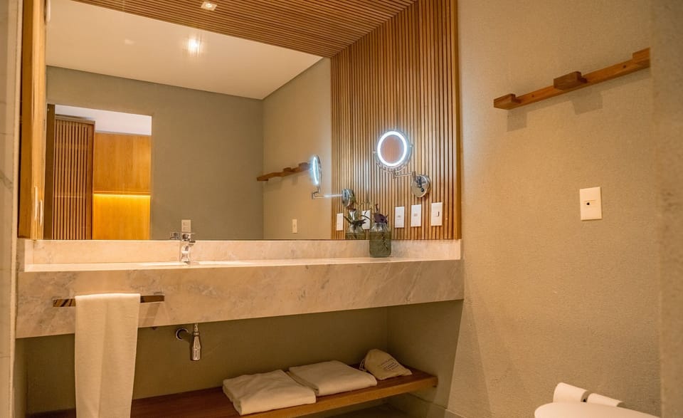 Deluxe Double Room | Bathroom | Shower, hydromassage showerhead, hair dryer, bathrobes