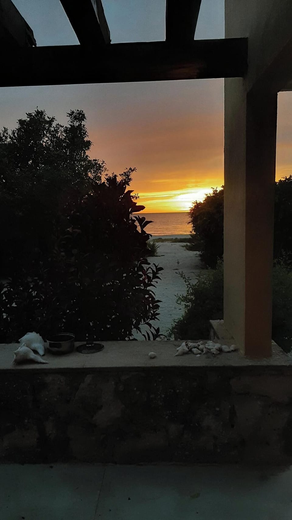 View from property