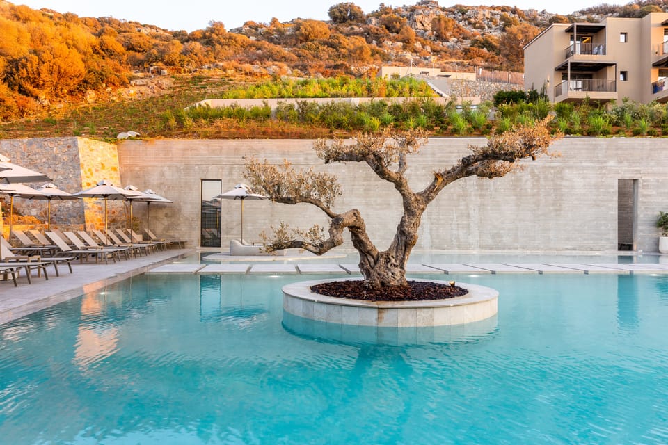 Seasonal outdoor pool, open 9:00 AM to 7:00 PM, pool umbrellas