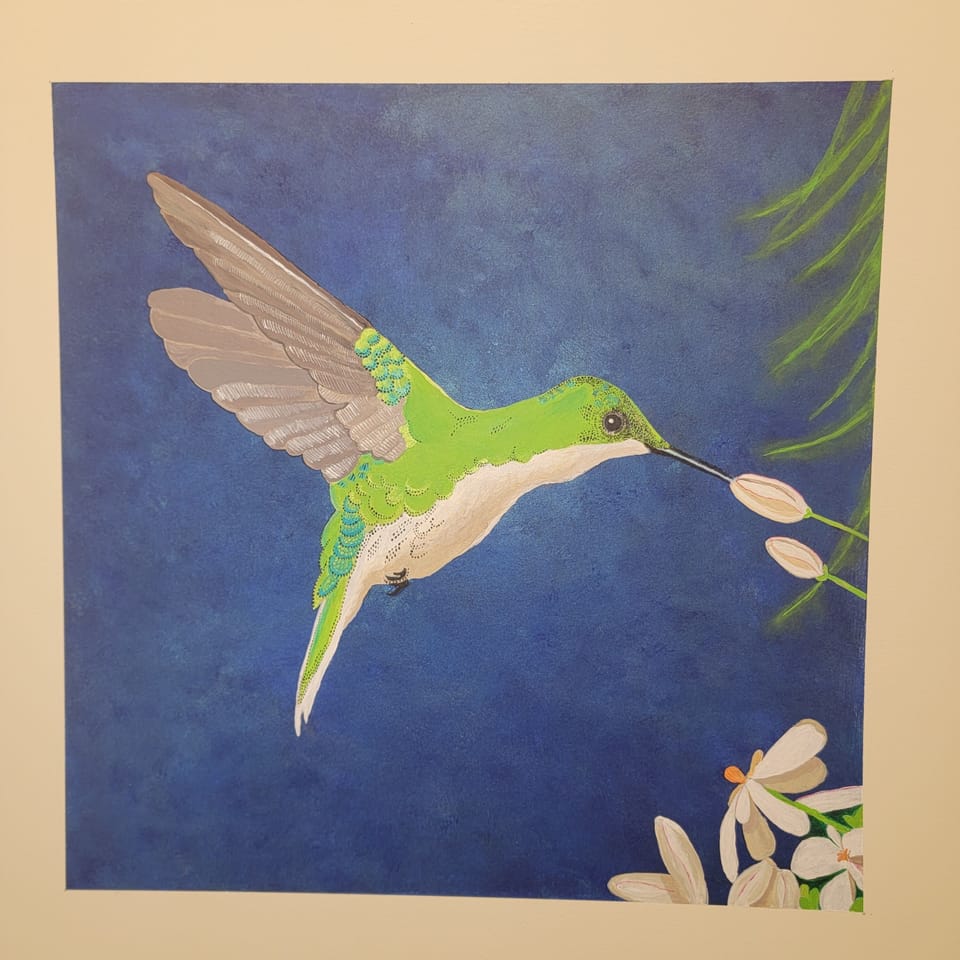Humming Bird Room