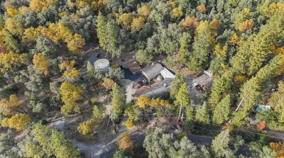 Aerial view surrounded by beautiful Sierra pine trees.