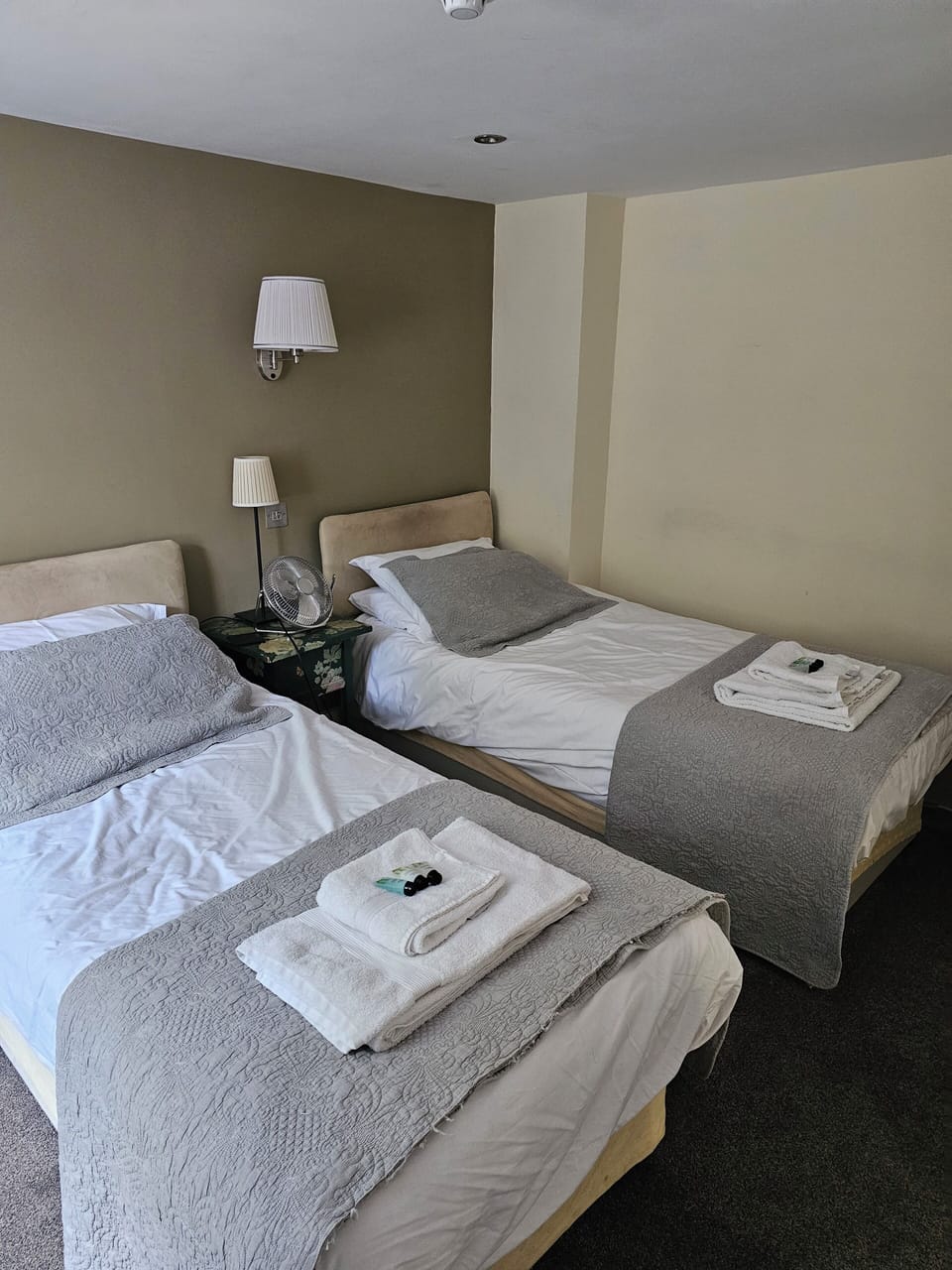 Deluxe Twin Room | Individually decorated, individually furnished