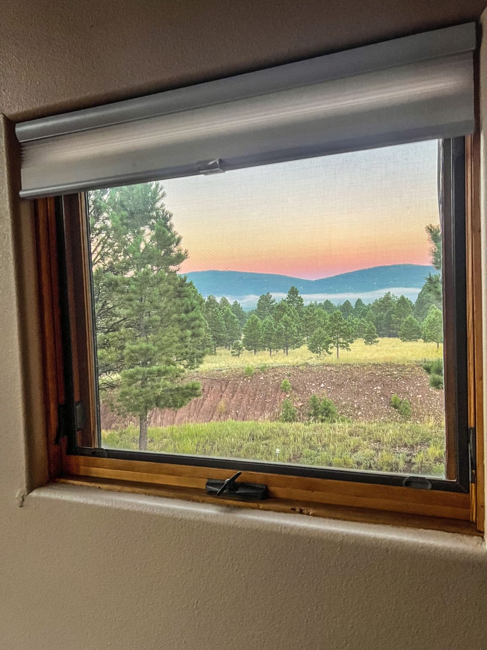 Views in morning from couch 