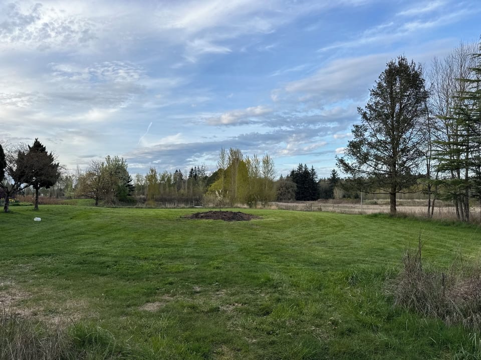 Property views