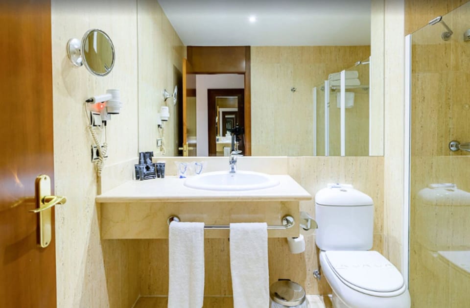 Hair dryer, bidet, towels