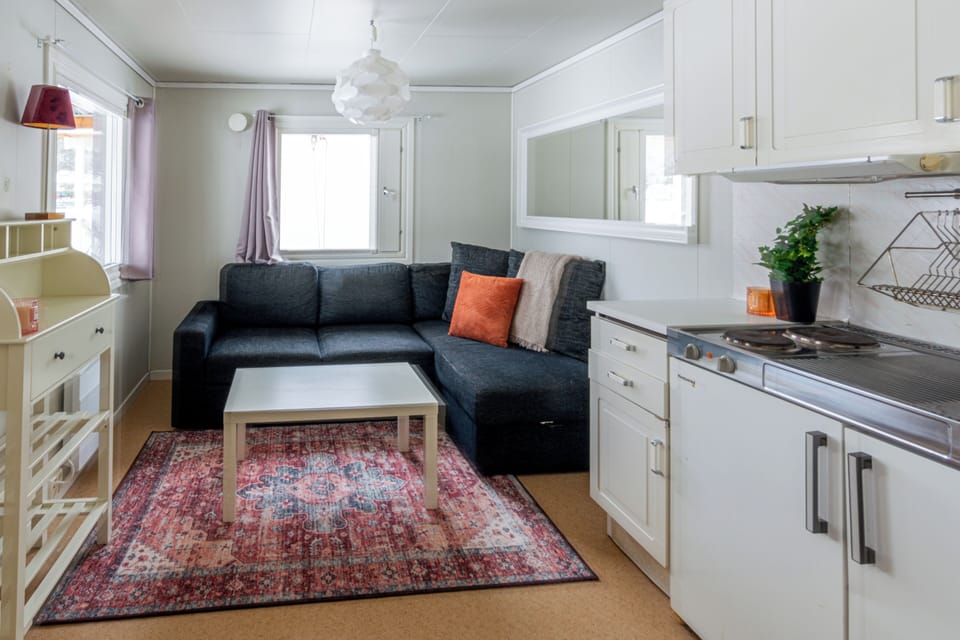 Reindeer Cabin (animals allowed) | Private kitchen | Cleaning supplies, paper towels