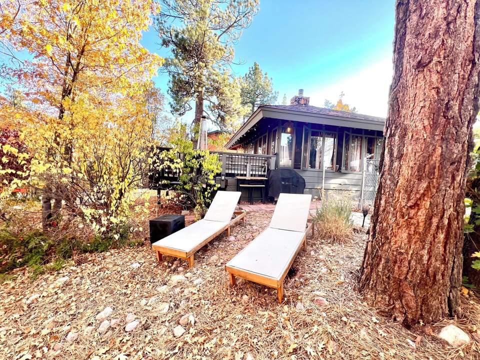 Outdoor Sitting Area