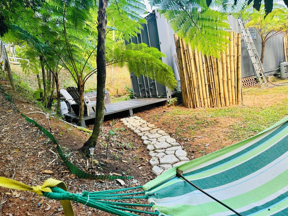 deck and hammock