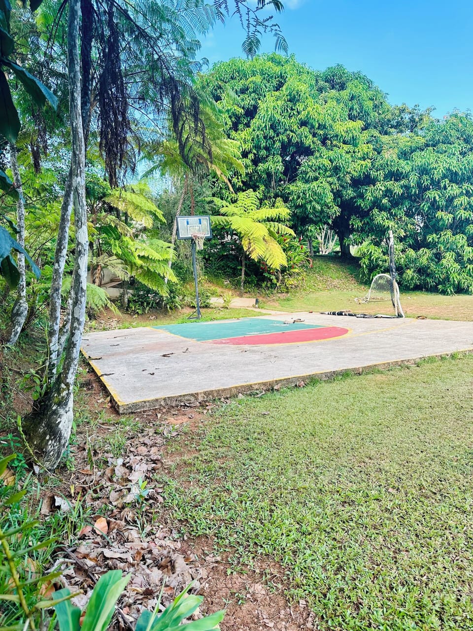 basketball court