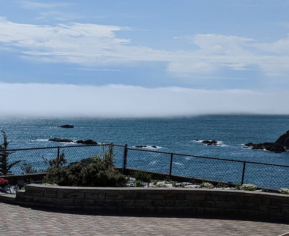 The northwest corner of the property. The Pacific Ocean is 130 feet below.