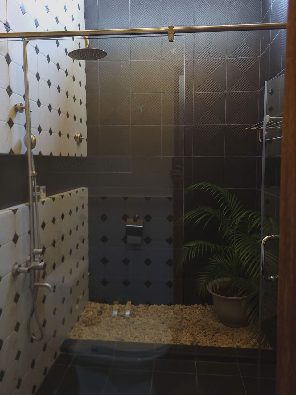 Shower, free toiletries, bidet, towels