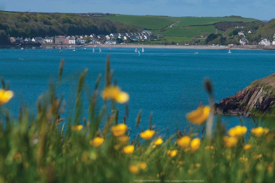 Teilo - 1 Bedroom - St Ishmael's (23131)