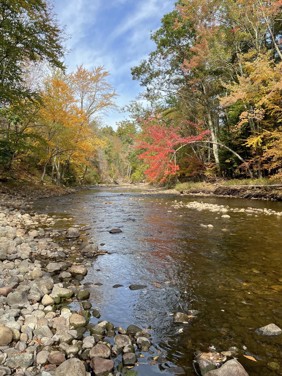 fall on the ausable river, located right behind the house